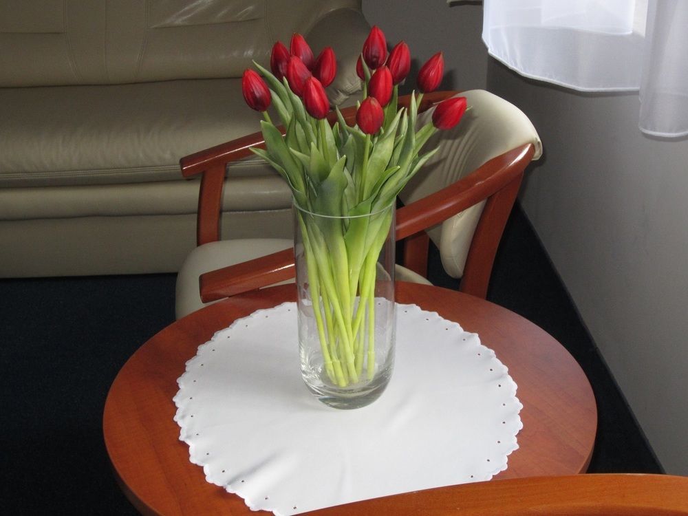 Hotel Jaworzyna Krynicka Крыница-Здруй Экстерьер фото
