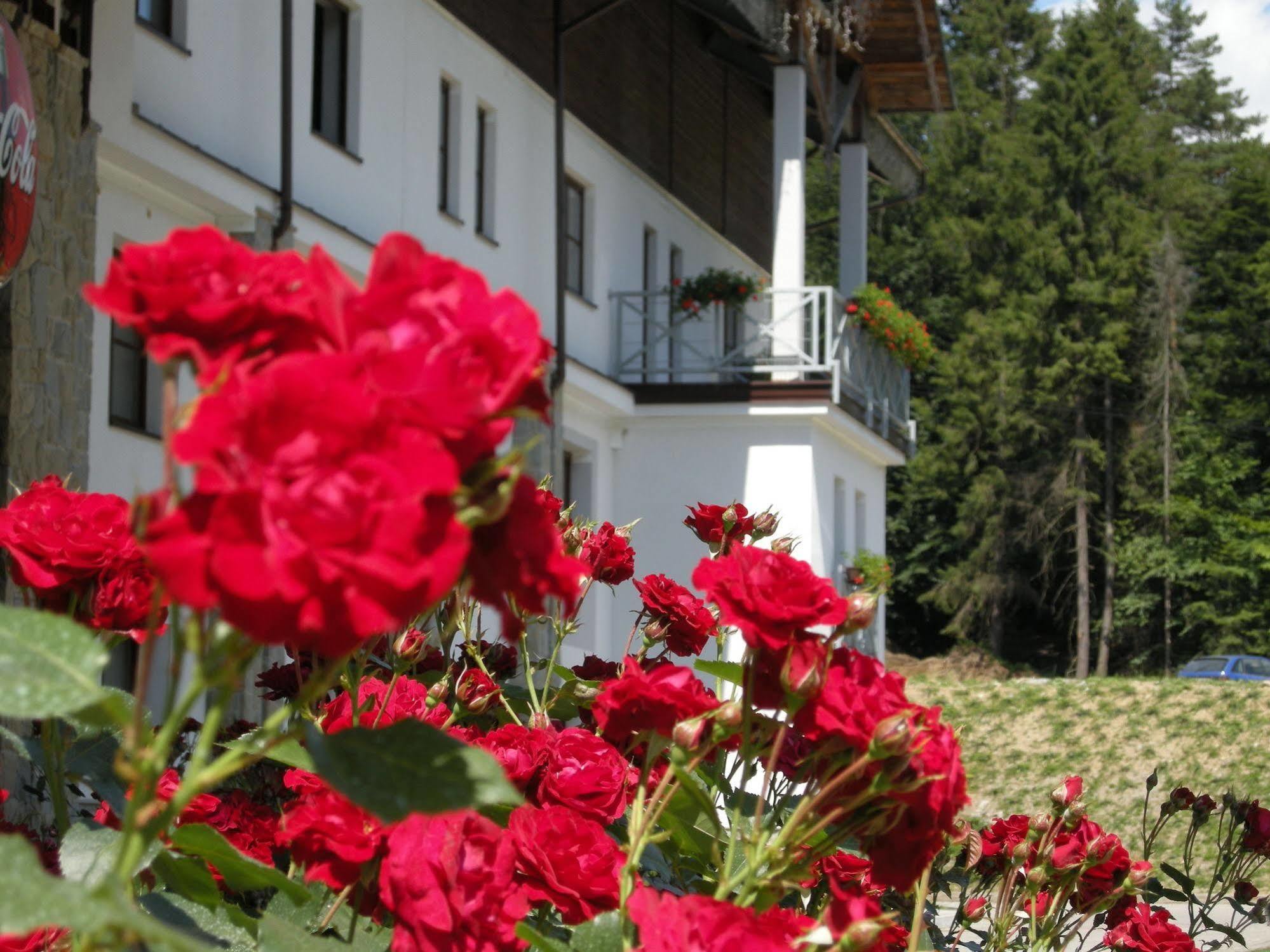 Hotel Jaworzyna Krynicka Крыница-Здруй Экстерьер фото